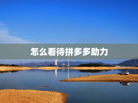 怎么看待拼多多助力