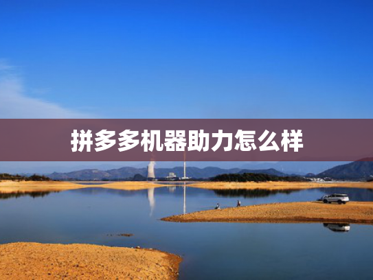 拼多多机器助力怎么样