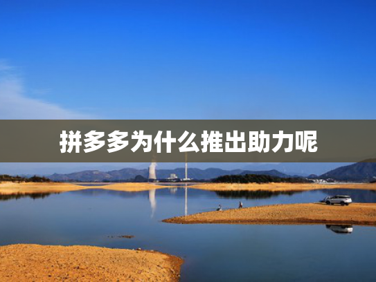 拼多多为什么推出助力呢