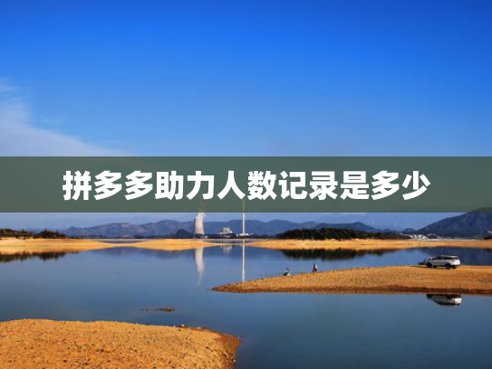 拼多多助力人数记录是多少