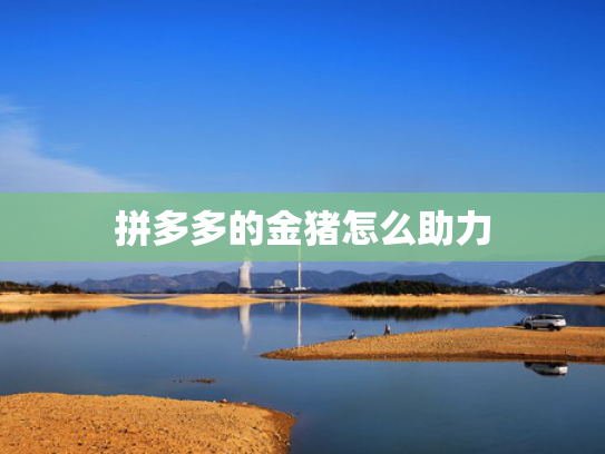 拼多多的金猪怎么助力