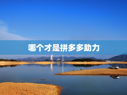 哪个才是拼多多助力
