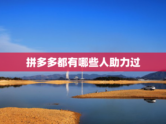 拼多多都有哪些人助力过