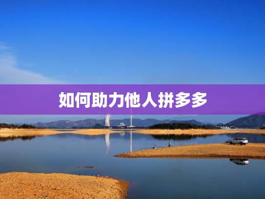 如何助力他人拼多多