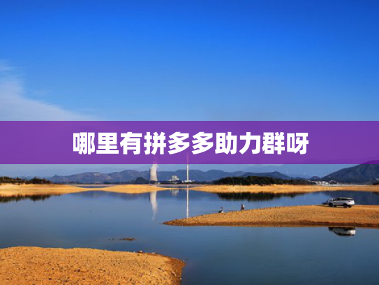 哪里有拼多多助力群呀